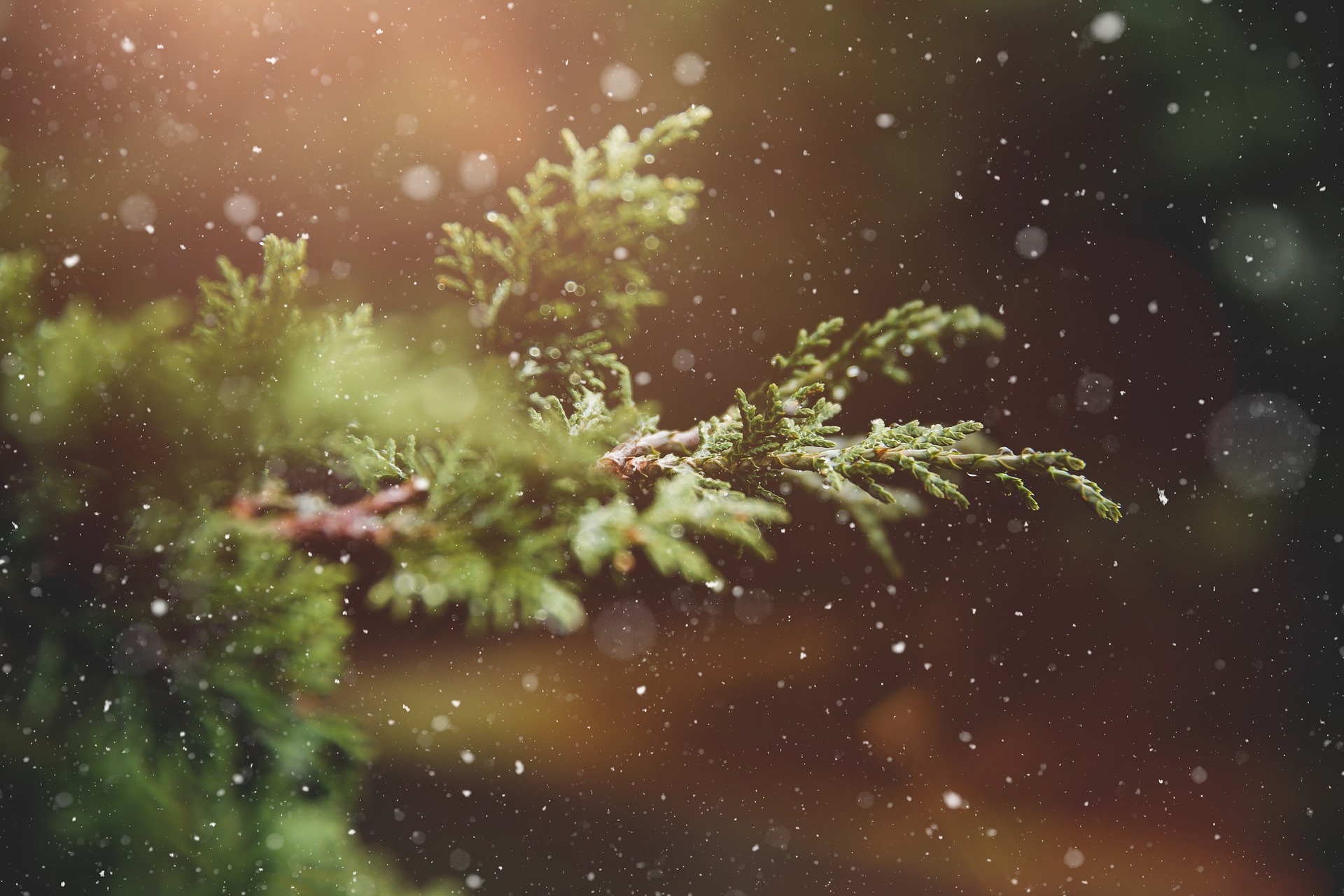#14 Weihnachten